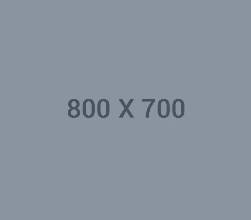 1xbet